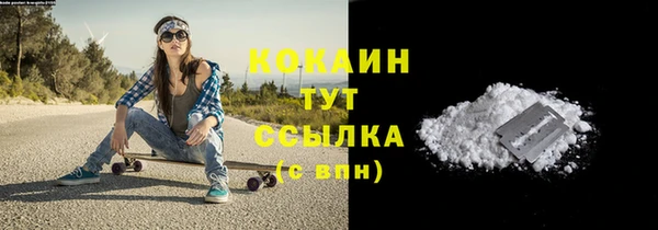 гидропоника Гусев