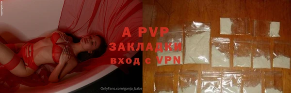 сатива Гусиноозёрск