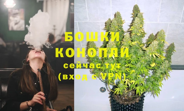 сатива Гусиноозёрск