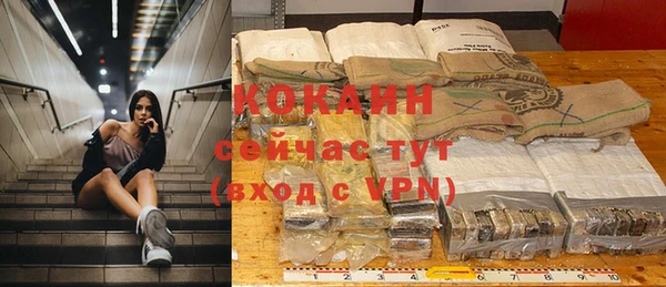 сатива Гусиноозёрск