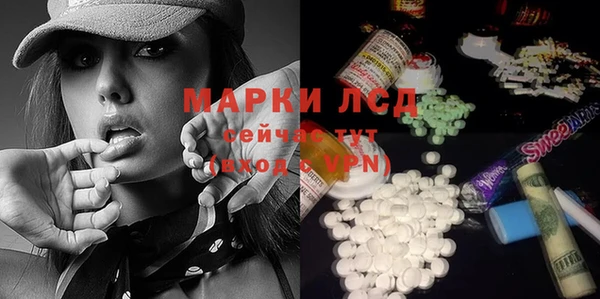 сатива Гусиноозёрск
