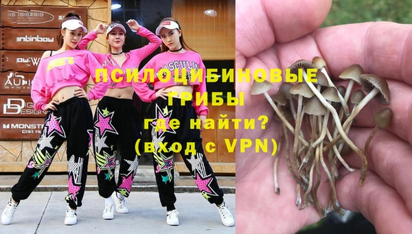 гидропоника Гусев